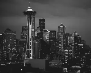 Seattle Chauffeur Service VS Black Limo Service
