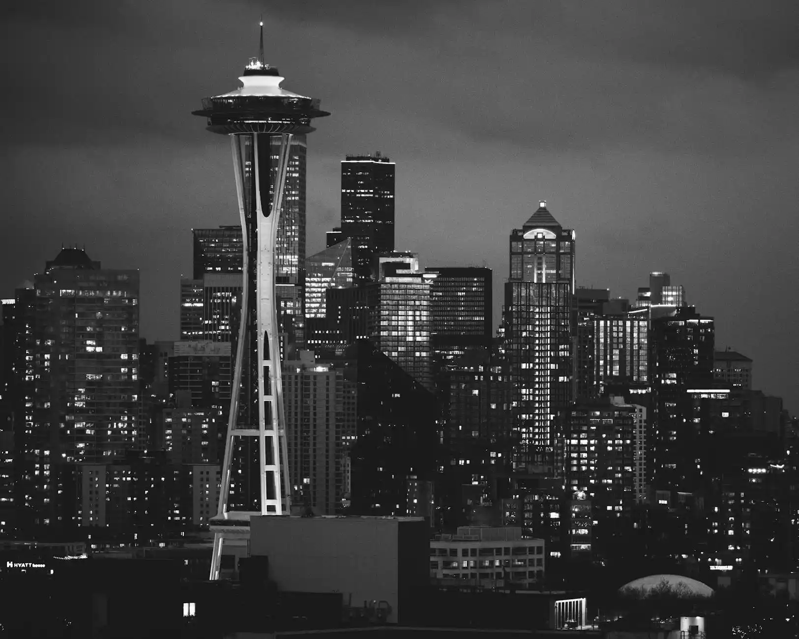 Seattle Chauffeur Service VS Black Limo Service
